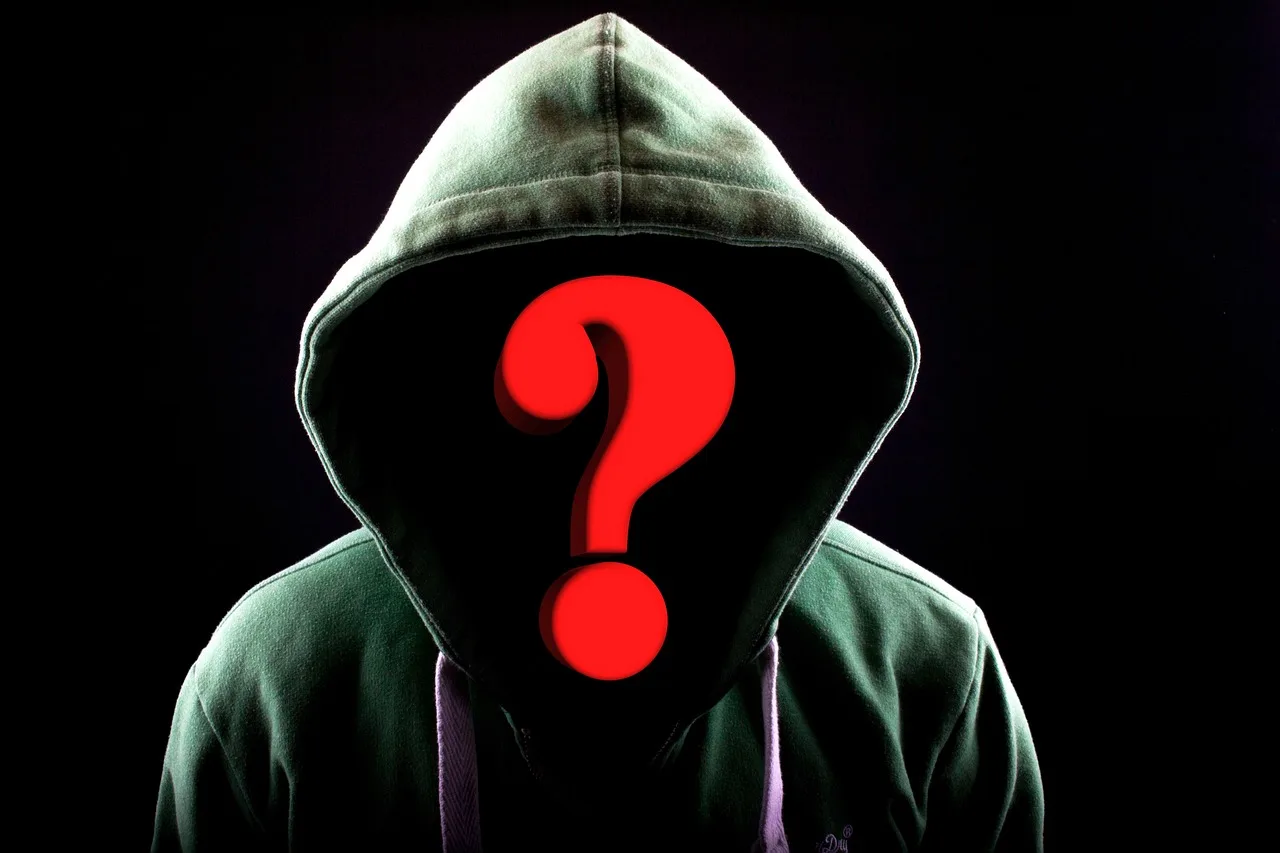 hacker, question mark, hoodie-2883630.jpg